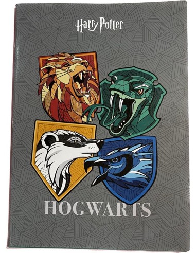 Quaderno Maxy Harry Potter